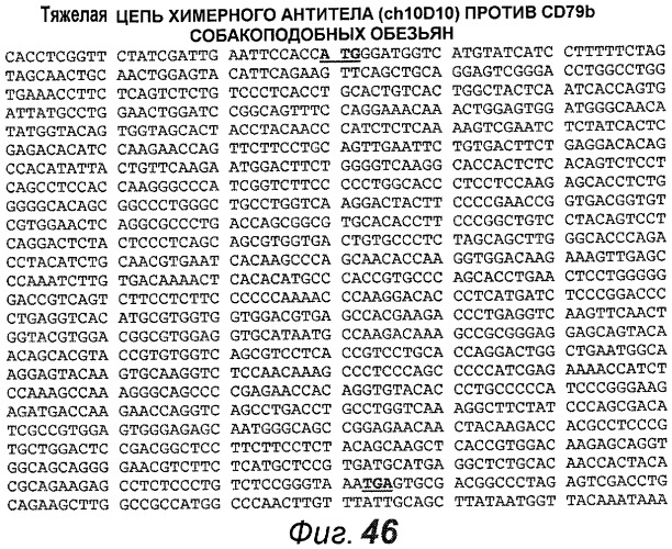 Анти-cd79b антитела и иммуноконъюгаты и способы их применения (патент 2511410)