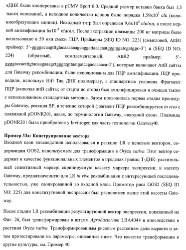 Растения, имеющие улучшенные характеристики роста, и способы их получения (патент 2463352)