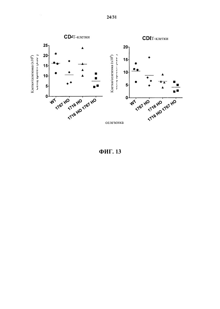 Генетически модифицированные в отношении т-клеточного рецептора мыши (патент 2661106)