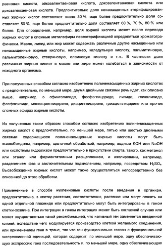 Способ получения полиненасыщенных кислот жирного ряда в трансгенных организмах (патент 2447147)