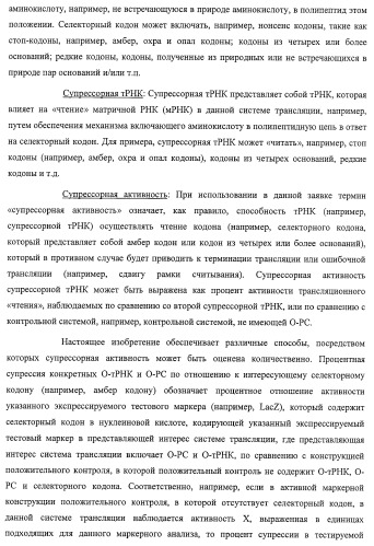 Система экспрессии компонентов ортогональной трансляции в эубактериальной клетке-хозяине (патент 2467069)