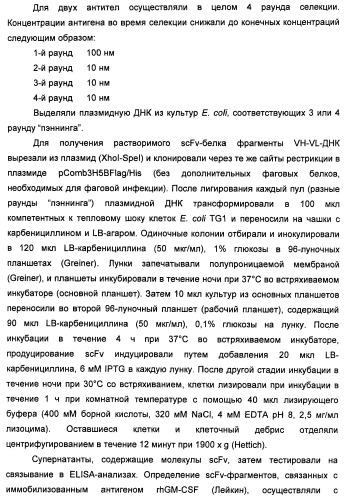 Антитела-нейтрализаторы гранулоцитарно-макрофагального колониестимулирующего фактора человека (патент 2458071)