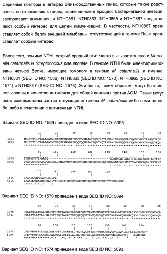 Полипептиды нетипируемой haemophilus influenzae (патент 2432357)