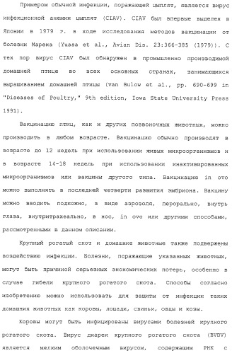 Композиции, содержащие cpg-олигонуклеотиды и вирусоподобные частицы, для применения в качестве адъювантов (патент 2322257)