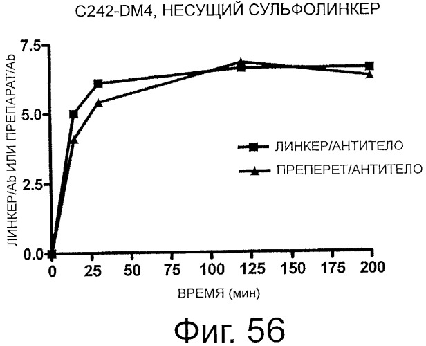 Сшивающие реагенты и их применение (патент 2503687)