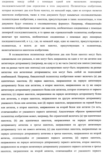 Аминокислотные последовательности, направленные на rank-l, и полипептиды, включающие их, для лечения заболеваний и нарушений костей (патент 2481355)