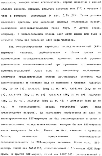 Поликлональное антитело против nogo, фармацевтическая композиция и применение антитела для изготовления лекарственного средства (патент 2432364)