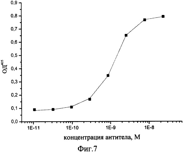 Рекомбинантная плазмидная днк pcl37, кодирующая полипептид со свойствами легкой цепи антитела человека против вируса осповакцины, рекомбинантная плазмидная днк pch37, кодирующая полипептид со свойствами тяжелой цепи указанного антитела, и их применение (патент 2317330)