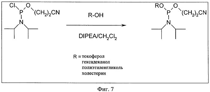 Нуклеиновая кислота формулы (i): glxmgn или (ii): glxmgn, предназначенная для применения прежде всего в качестве иммуностимулятора/адъюванта (патент 2487938)