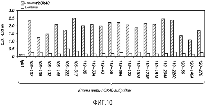 Антитела против ох40 и способы их применения (патент 2562874)