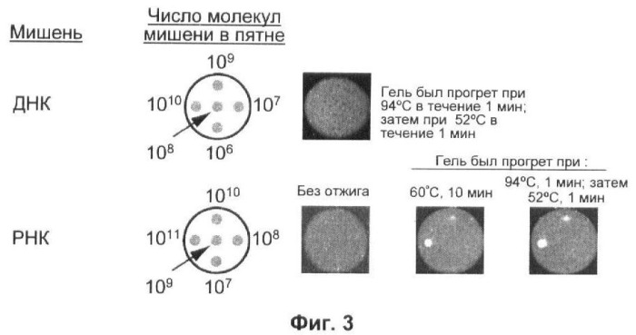 Бесконтактные способы обнаружения молекулярных колоний, наборы реагентов и устройство для их осуществления (патент 2394915)