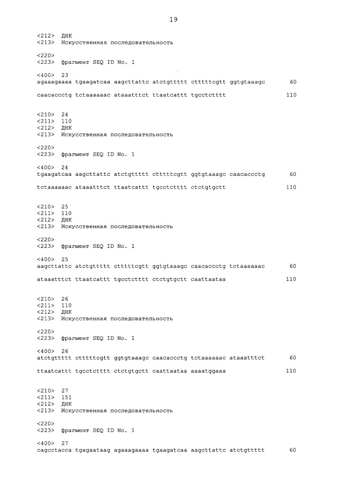 Молекулы искусственной нуклеиновой кислоты (патент 2651498)