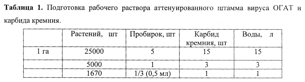 Аттенуированный штамм вируса - биологический препарат для защиты растений огурца от патогенных штаммов вируса зеленой крапчатой мозаики огурца (патент 2642321)