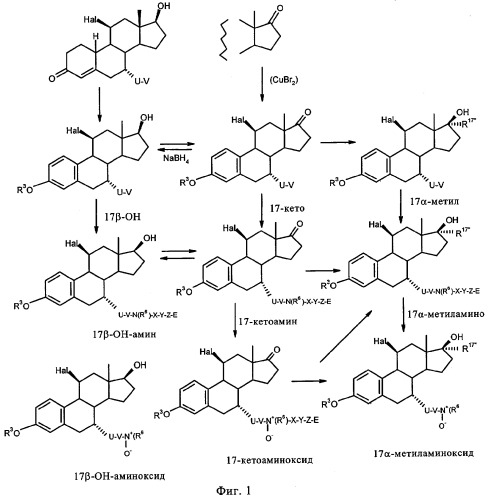 17 -акил-17 -оксиэстратриены, их применение и фармацевтический препарат (патент 2285009)