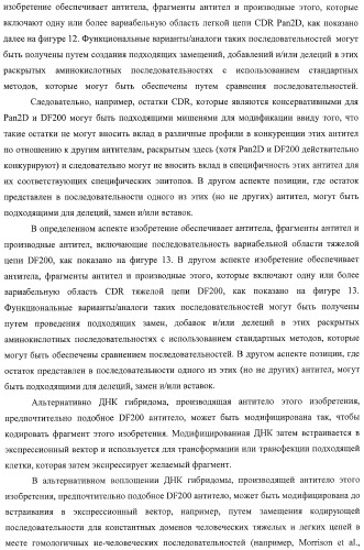 Композиции и способы регуляции клеточной активности nk (патент 2404993)