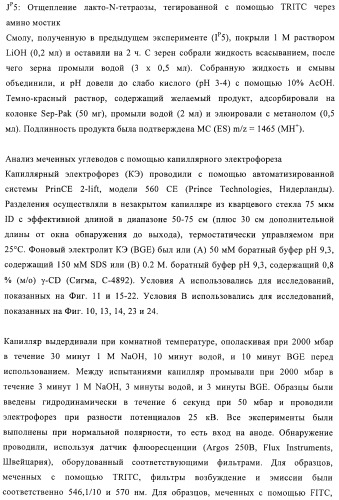 Твердофазное тегирование олигосахаридов: методика для манипуляции с иммобилизированными углеводами (патент 2398237)
