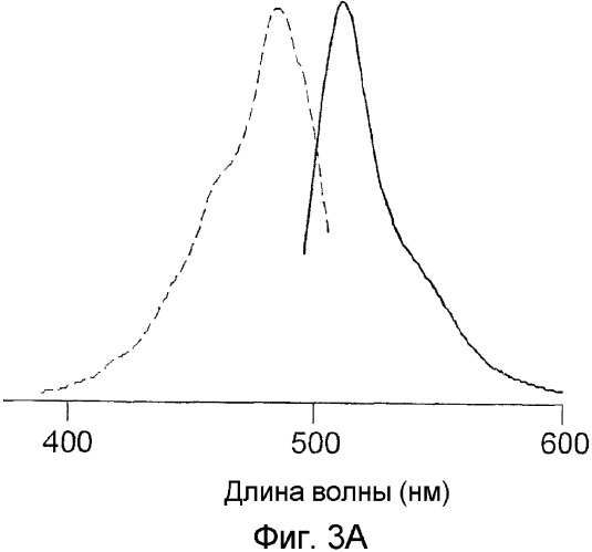 Флуоресцирующие белки и хромопротеины из видов hydrozoa, не относящихся к aequorea, и способы их получения (патент 2338785)