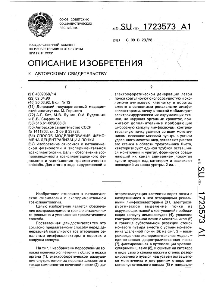 Способ моделирования феномена децентрализации почки (патент 1723573)