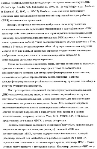Способы и композиции для экспрессии антисмысловой вирусной рнк в клетках собаки (патент 2457250)