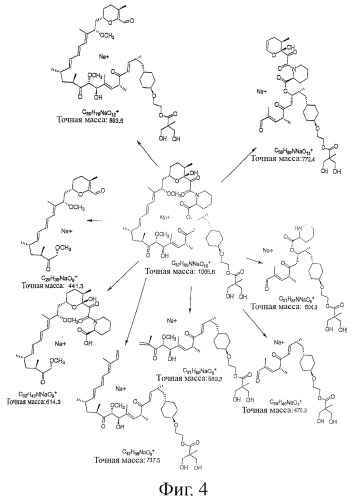 39-дезметокси производные рапамицина (патент 2391346)