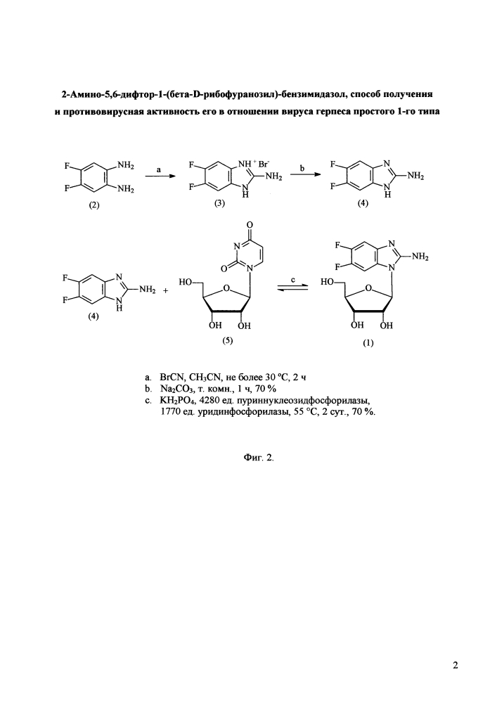 2-амино-5,6-дифтор-1-(бета-d-рибофуранозил)-бензимидазол, способ получения и противовирусная активность его в отношении вируса герпеса простого 1-го типа (патент 2629670)