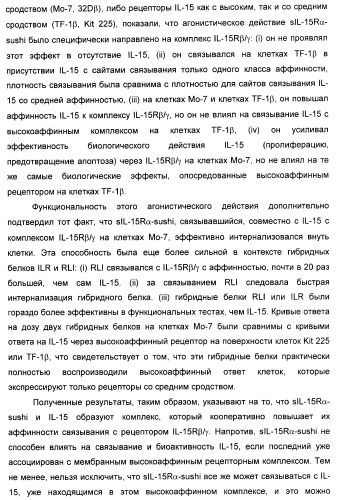 Соединение, предназначенное для стимуляции пути передачи сигнала через il-15rбета/гамма, с целью индуцировать и/или стимулировать активацию и/или пролиферацию il-15rбета/гамма-положительных клеток, таких как nk-и/или t-клетки, нуклеиновая кислота, кодирующая соединение, вектор экспрессии, клетка-хозяин, адъювант для иммунотерапевтической композиции, фармацевтическая композиция и лекарственное средство для лечения состояния или заболевания, при котором желательно повышение активности il-15, способ in vitro индукции и/или стимуляции пролиферации и/или активации il-15rбета/гамма-положительных клеток и способ получения in vitro активированных nk-и/или t-клеток (патент 2454463)