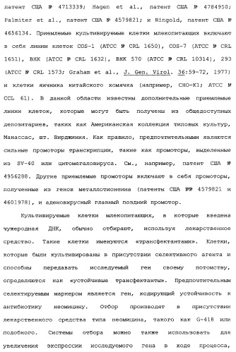 Новый лиганд рецептора цитокина zcytor17 (патент 2360923)