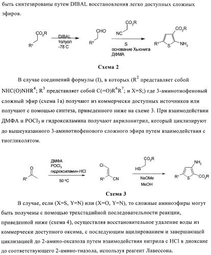 Производные тиофена в качестве ингибиторов снк 1 (патент 2397168)