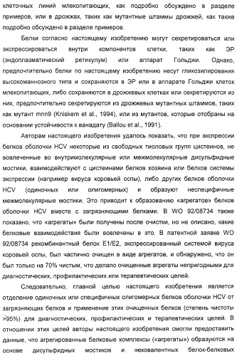 Очищенные белки оболочки вируса гепатита с для диагностического и терапевтического применения (патент 2313363)