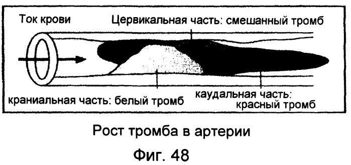 Производное тромбина и фармацевтическая композиция, содержащая его (патент 2372402)