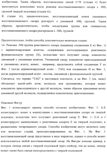 Твердофазное тегирование олигосахаридов: методика для манипуляции с иммобилизированными углеводами (патент 2398237)