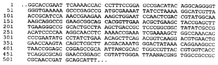 Антигены neisseria meningitidis (патент 2343159)