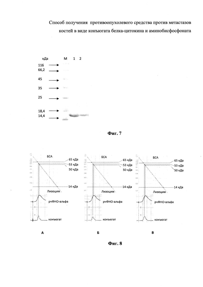 Способ получения противоопухолевого средства против метастазов костей в виде конъюгата белка-цитокина и аминобисфосфоната (патент 2631486)
