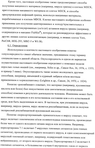 Линии клеток почки собаки майдин-дэрби (mdck), поддерживающие рост вирусов до высоких титров, и способ применения этих клеток в биореакторе (патент 2487935)