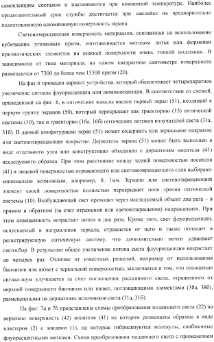 Многофункциональное устройство для диагностики и способ тестирования биологических объектов (патент 2363948)