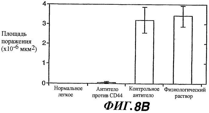 Способы и композиции для модуляции и обнаружения активности wisp (патент 2412201)