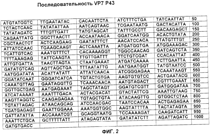 Применение аттенуированного ротавирусного штамма серотипа g1 в изготовлении композиции для индукции иммунного ответа на ротавирусную инфекцию (патент 2368392)