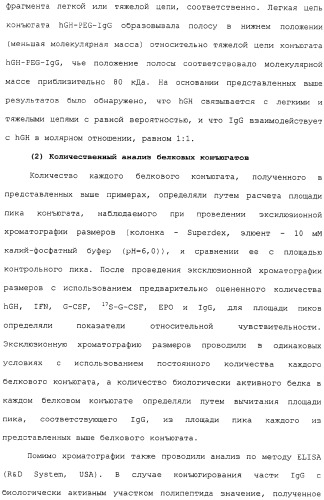 Физиологически активный полипептидный конъюгат, обладающий пролонгированным периодом полувыведения in vivo (патент 2312868)