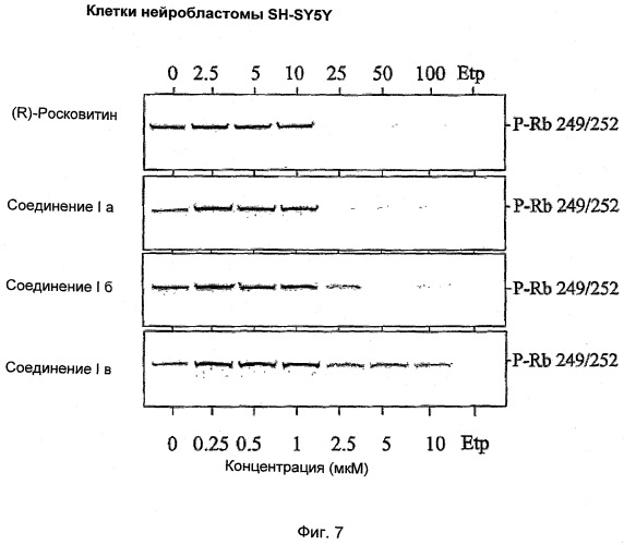Перхаридины в качестве ингибиторов cdk (патент 2498984)