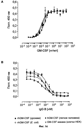 Антитела-нейтрализаторы гранулоцитарно-макрофагального колониестимулирующего фактора человека (патент 2458071)