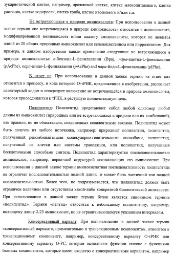 Система экспрессии компонентов ортогональной трансляции в эубактериальной клетке-хозяине (патент 2467069)