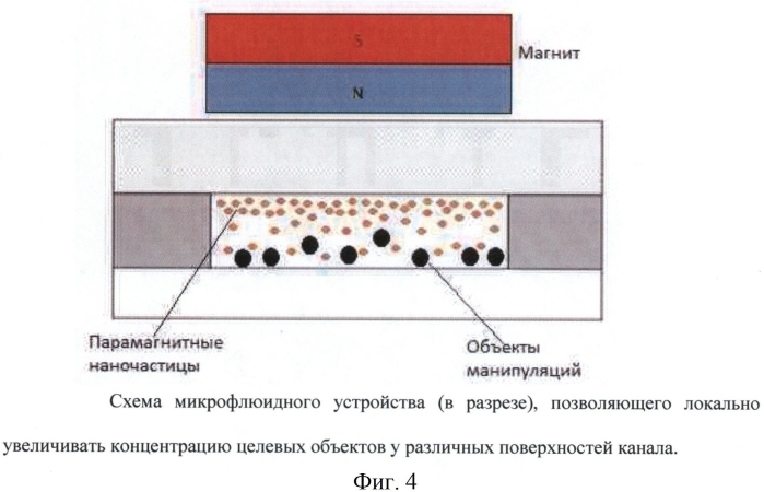 Способ манипулирования и сортировки объектов различной природы, микронного и субмикронного масштаба в микрофлюидных системах при помощи градиентов концентрации парамагнитных наночастиц (патент 2583928)