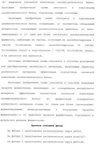 Клетка-хозяин trichoderma reesei для получения целлюлолитической белковой композиции, целлюлолитическая белковая композиция, способы ее получения и применения (патент 2494146)