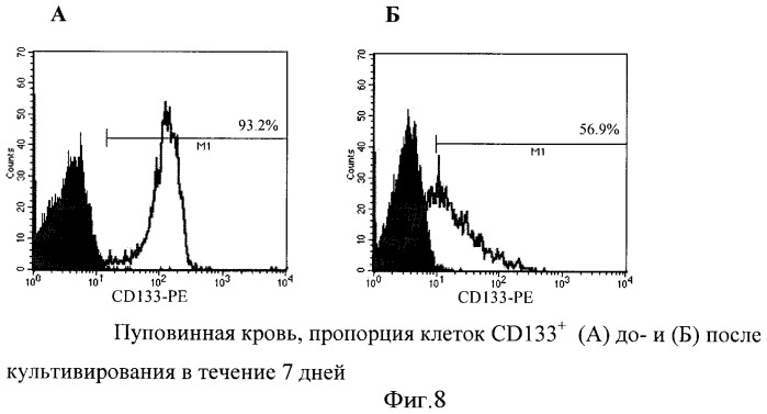 Способ увеличения количества гемопоэтических недифференцированных стволовых клеток пациента ex vivo (патент 2360965)