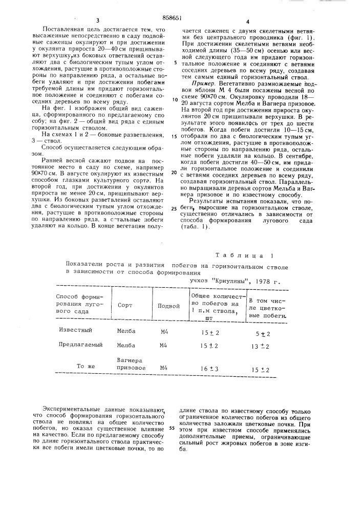 Способ формирования лугового сада (патент 858651)