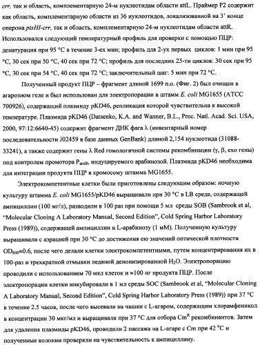 Способ получения l-треонина с использованием бактерии, принадлежащей к роду escherichia (патент 2338783)