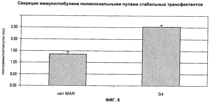 Экспрессионная система для повышения уровня экспрессии гена, молекула нуклеиновой кислоты, клетка, трансгенное животное и набор (патент 2469089)