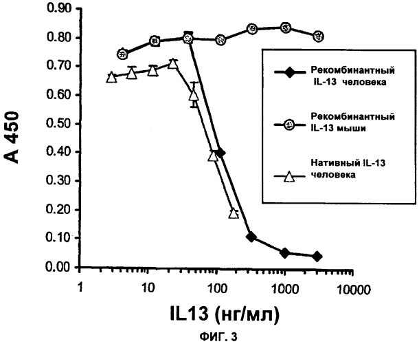 Антитела против интерлейкина-13 человека и их применение (патент 2427589)