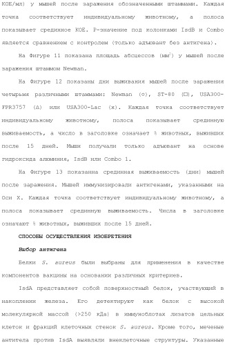 Композиции для иммунизации против staphylococcus aureus (патент 2508126)