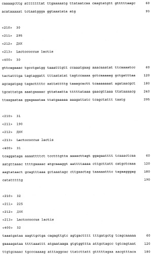 Промоторы lactococcus и их применение: (патент 2495129)